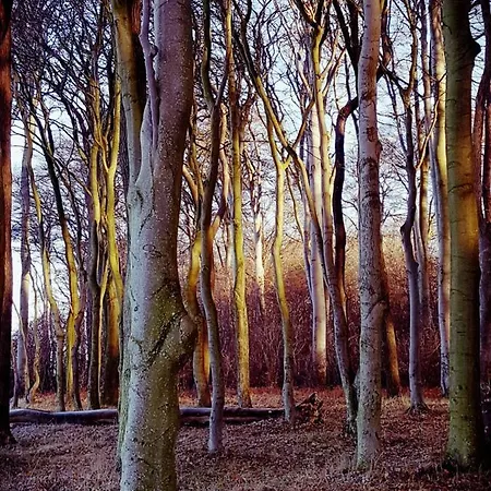 Appartement Ferienwohnung Bad Doberan *