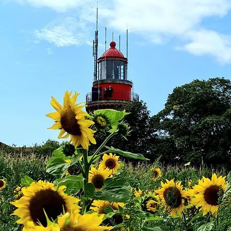 Ferienwohnung Bad Doberan * Bad Doberan